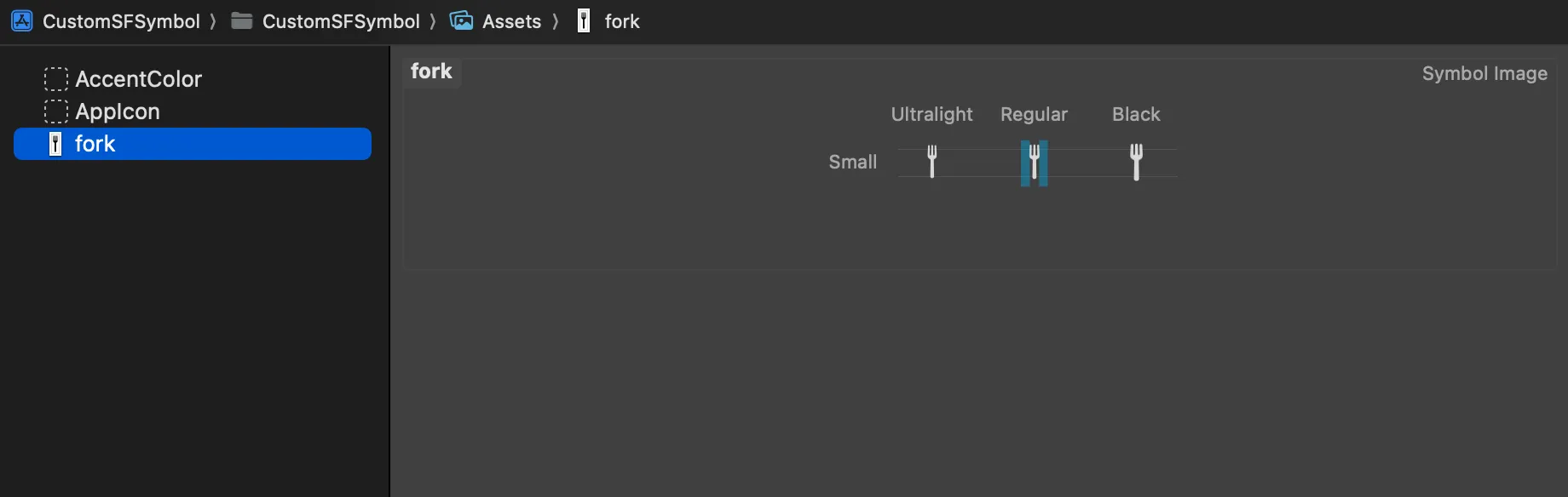 Xcode Assets folder with the new symbol imported Xcode Assets folder with the new symbol imported