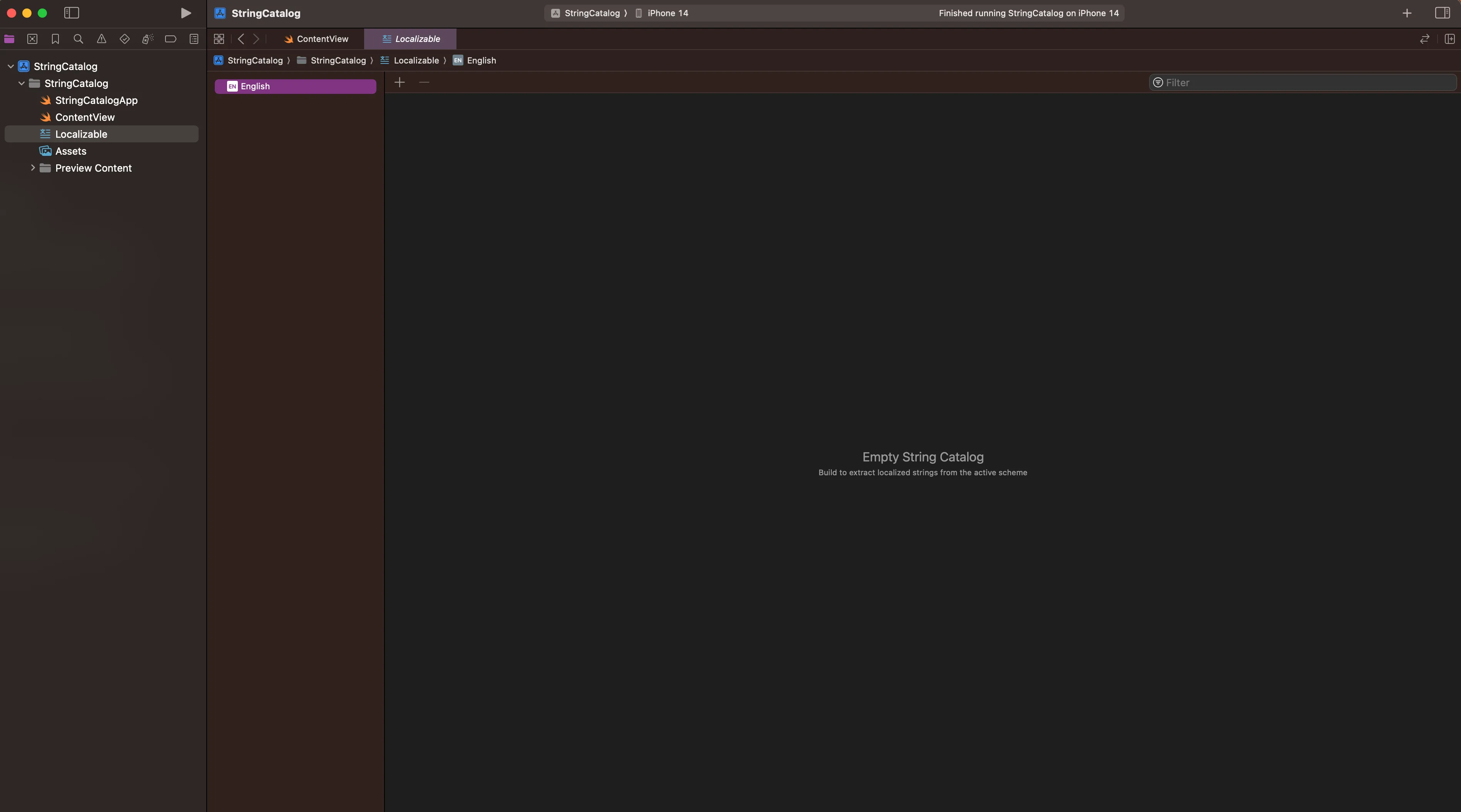 Xcode screen with an Empty String Catalog warning Xcode screen with an Empty String Catalog warning